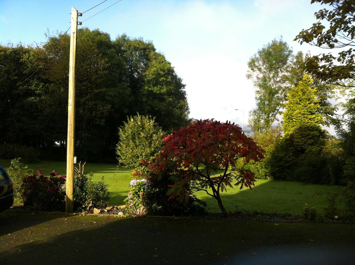 Trem Hyfryd B&B Dolgellau Dış mekan fotoğraf